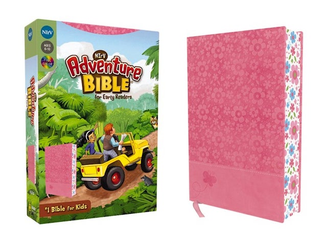 NIRV- New International Reader's Version Bibles for Children